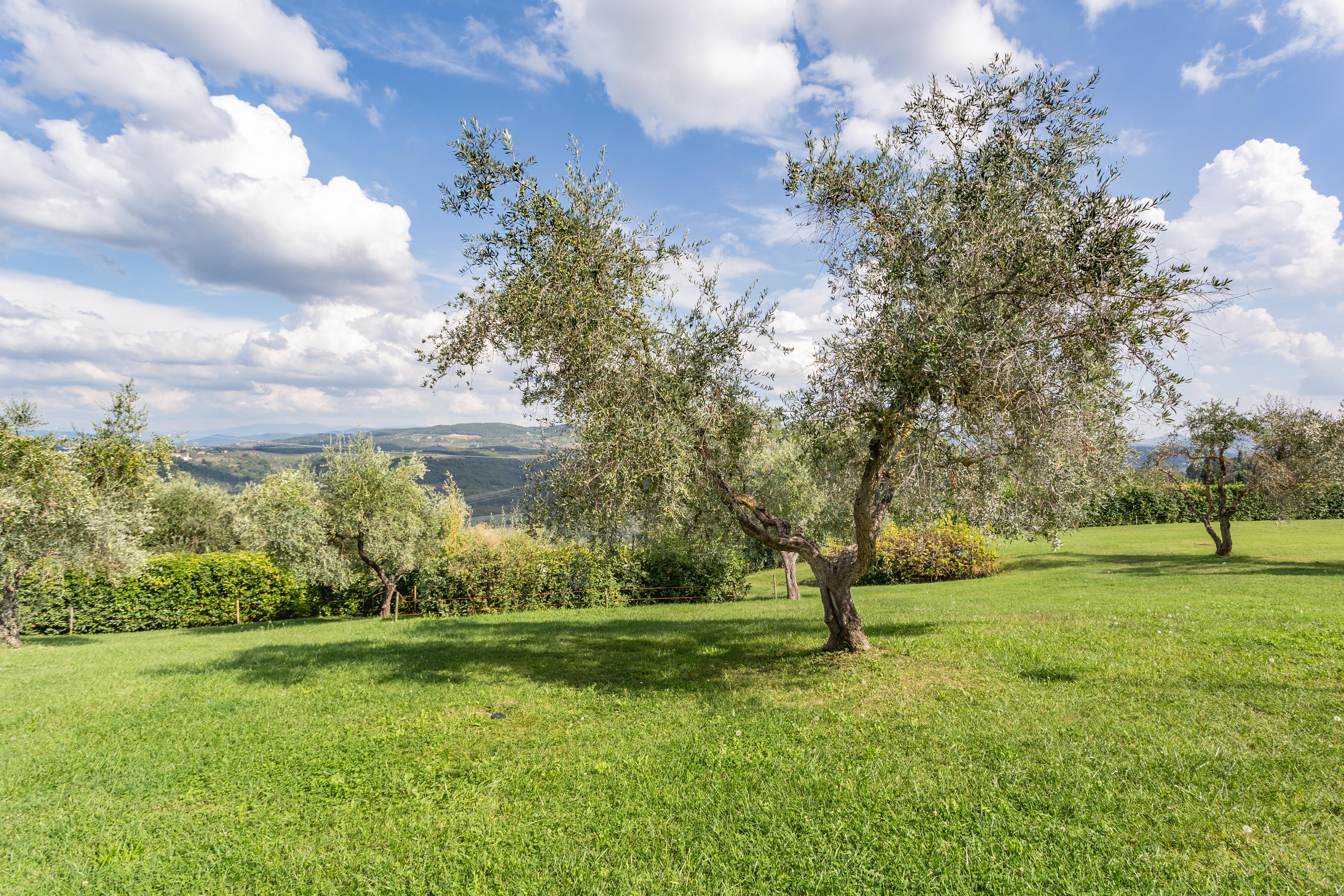Fattoria Querceto Guest House Tavarnelle Val di Pesa ภายนอก รูปภาพ